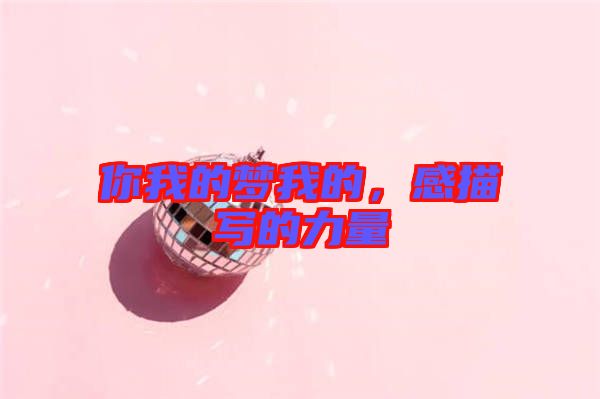 你我的夢我的，感描寫的力量