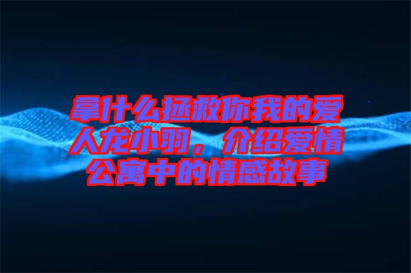 拿什么拯救你我的愛人龍小羽，介紹愛情公寓中的情感故事