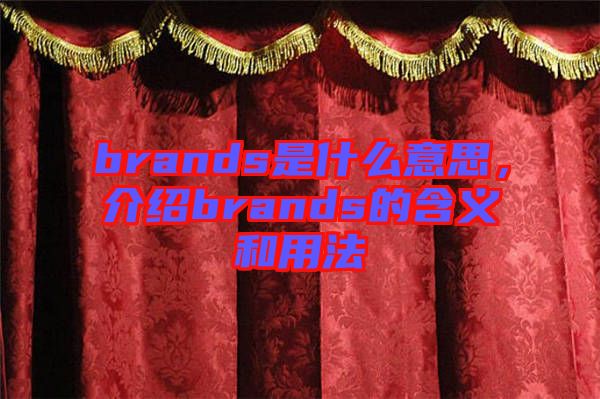 brands是什么意思，介紹brands的含義和用法