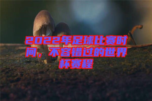 2022年足球比賽時(shí)間，不容錯(cuò)過的世界杯賽程