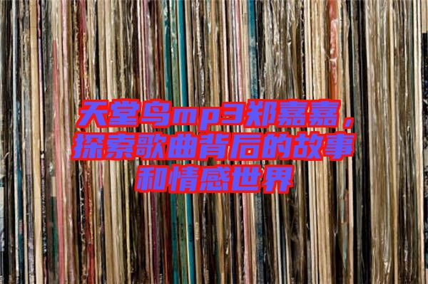 天堂鳥mp3鄭嘉嘉，探索歌曲背后的故事和情感世界