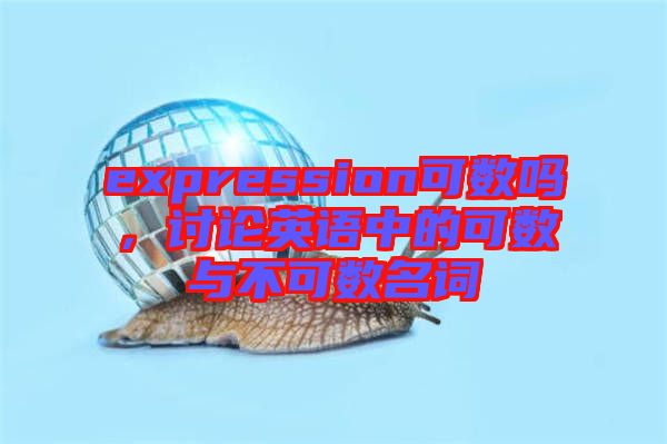 expression可數(shù)嗎，討論英語(yǔ)中的可數(shù)與不可數(shù)名詞