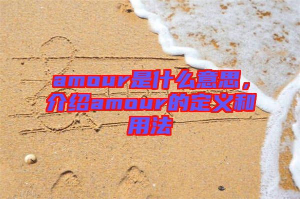 amour是什么意思，介紹amour的定義和用法