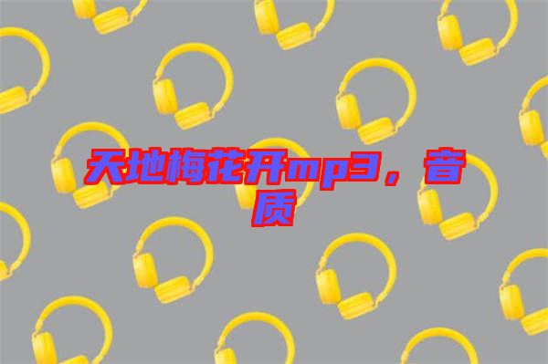 天地梅花開mp3，音質(zhì)