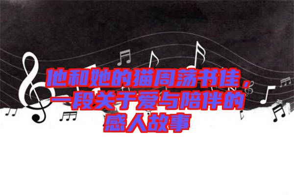 他和她的貓周蕩書佳，一段關(guān)于愛與陪伴的感人故事