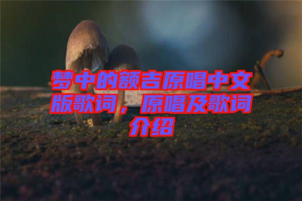 夢中的額吉原唱中文版歌詞，原唱及歌詞介紹
