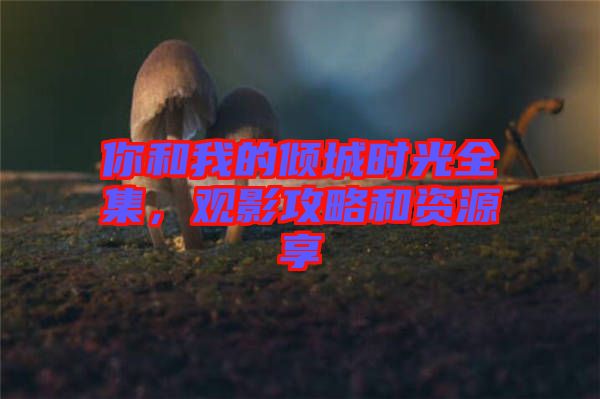 你和我的傾城時(shí)光全集，觀影攻略和資源享