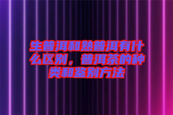 生普洱和熟普洱有什么區(qū)別，普洱茶的種類和鑒別方法