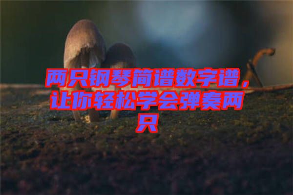 兩只鋼琴簡(jiǎn)譜數(shù)字譜，讓你輕松學(xué)會(huì)彈奏兩只