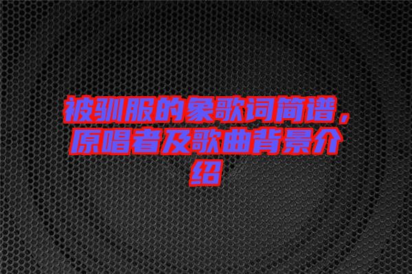 被馴服的象歌詞簡(jiǎn)譜，原唱者及歌曲背景介紹