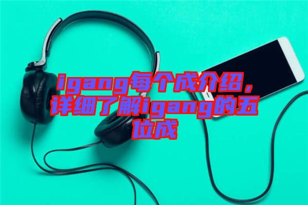 igang每個成介紹，詳細了解igang的五位成