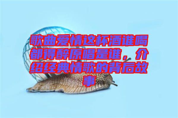 歌曲愛情這杯酒誰(shuí)喝都得醉原唱是誰(shuí)，介紹經(jīng)典情歌的背后故事