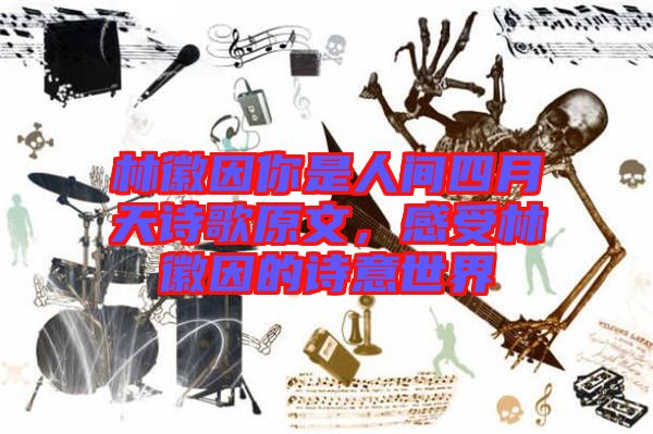 林徽因你是人間四月天詩歌原文，感受林徽因的詩意世界