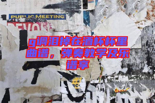 g調(diào)淚掉在酒杯杯里曲譜，彈奏教學(xué)及樂譜享
