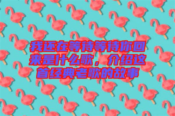 我還在等待等待你回來是什么歌，介紹這首經(jīng)典老歌的故事