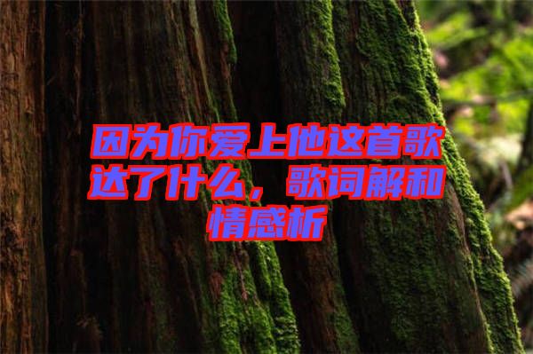 因?yàn)槟銗?ài)上他這首歌達(dá)了什么，歌詞解和情感析