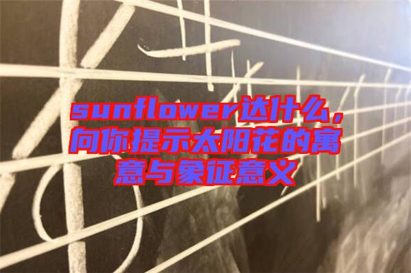 sunflower達什么，向你提示太陽花的寓意與象征意義