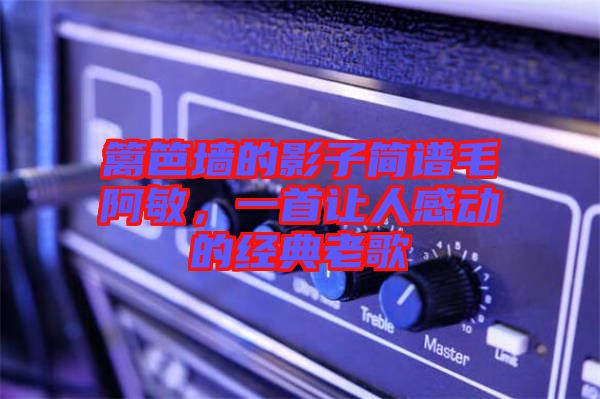 籬笆墻的影子簡譜毛阿敏，一首讓人感動(dòng)的經(jīng)典老歌
