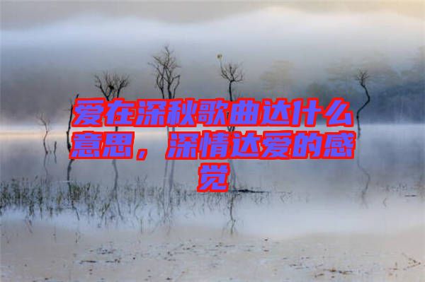 愛(ài)在深秋歌曲達(dá)什么意思，深情達(dá)愛(ài)的感覺(jué)
