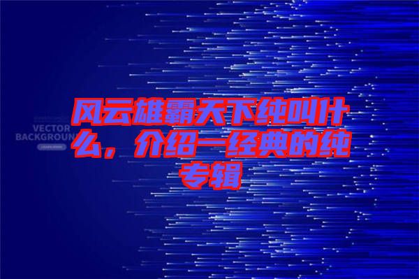 風(fēng)云雄霸天下純叫什么，介紹一經(jīng)典的純專輯