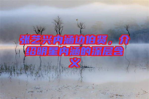 張藝興內(nèi)涵邊伯賢，介紹明星內(nèi)涵的深層含義