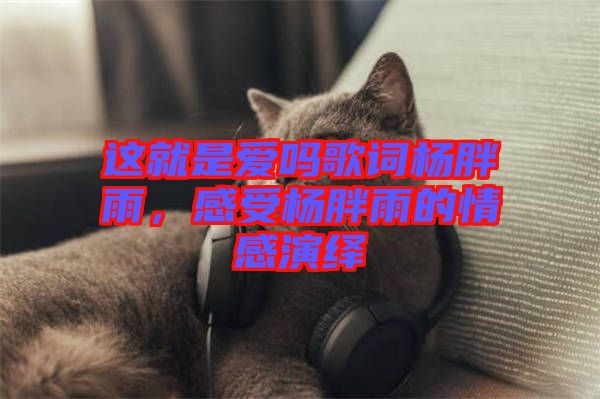 這就是愛嗎歌詞楊胖雨，感受楊胖雨的情感演繹