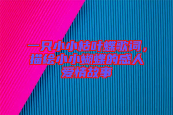 一只小小枯葉蝶歌詞，描繪小小蝴蝶的感人愛情故事