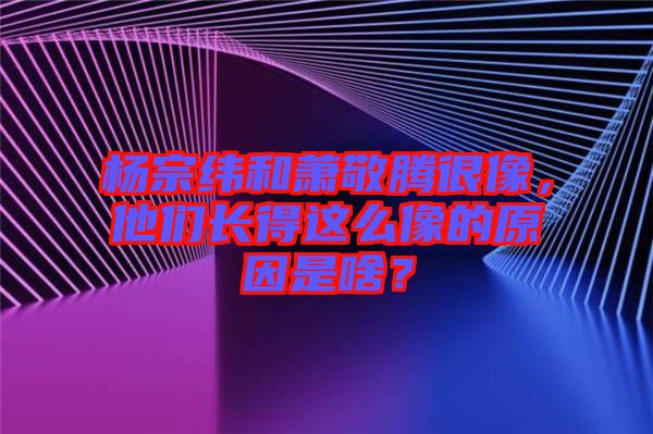 楊宗緯和蕭敬騰很像，他們長得這么像的原因是啥？
