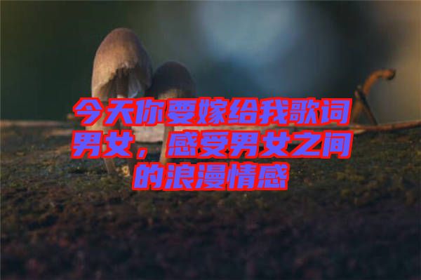 今天你要嫁給我歌詞男女，感受男女之間的浪漫情感
