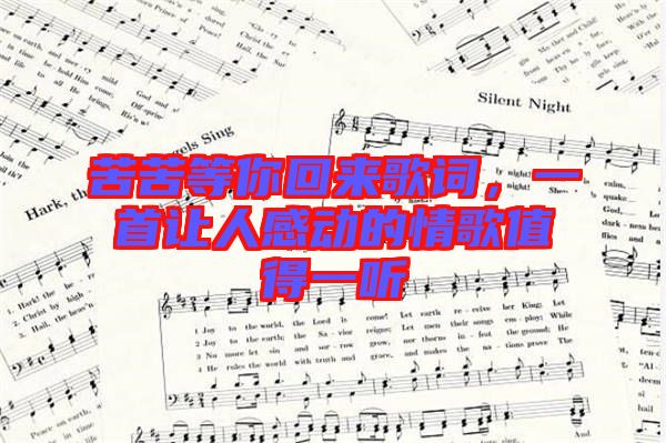 苦苦等你回來歌詞，一首讓人感動的情歌值得一聽
