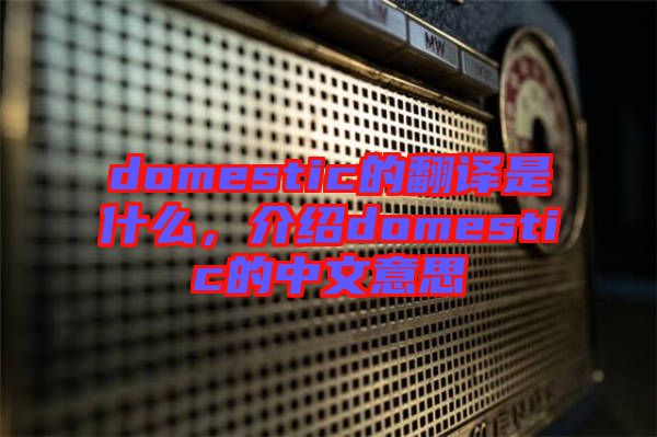 domestic的翻譯是什么，介紹domestic的中文意思