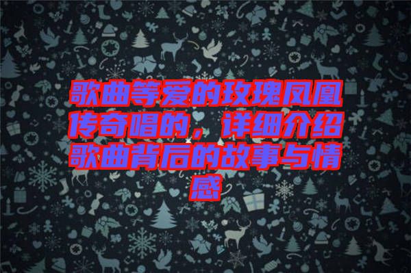 歌曲等愛的玫瑰鳳凰傳奇唱的，詳細介紹歌曲背后的故事與情感