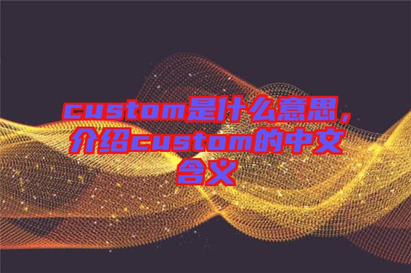 custom是什么意思，介紹custom的中文含義