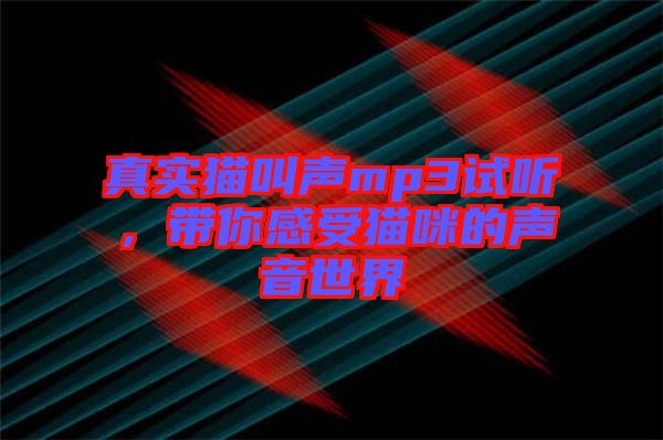 真實貓叫聲mp3試聽，帶你感受貓咪的聲音世界