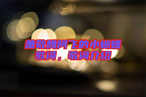 蕭敬騰阿飛的小蝴蝶歌詞，歌詞介紹