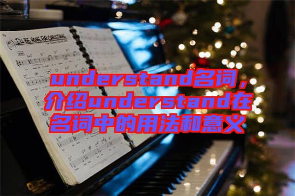 understand名詞，介紹understand在名詞中的用法和意義