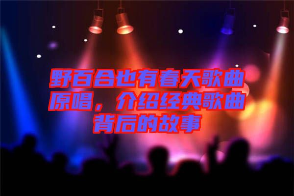 野百合也有春天歌曲原唱，介紹經(jīng)典歌曲背后的故事