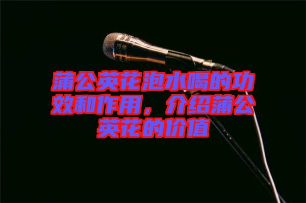蒲公英花泡水喝的功效和作用，介紹蒲公英花的價值
