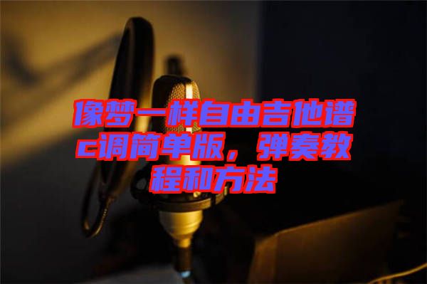 像夢(mèng)一樣自由吉他譜c調(diào)簡(jiǎn)單版，彈奏教程和方法