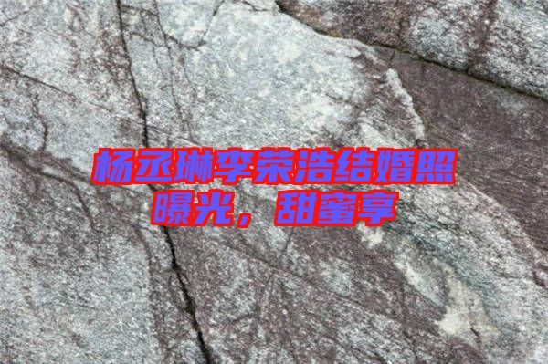 楊丞琳李榮浩結(jié)婚照曝光，甜蜜享