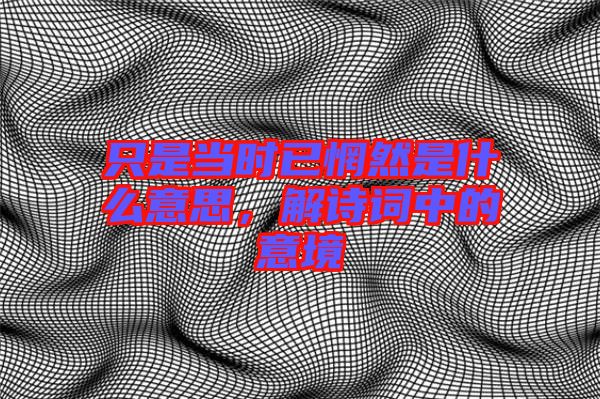 只是當(dāng)時(shí)已惘然是什么意思，解詩詞中的意境