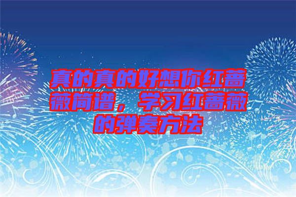 真的真的好想你紅薔薇簡(jiǎn)譜，學(xué)習(xí)紅薔薇的彈奏方法