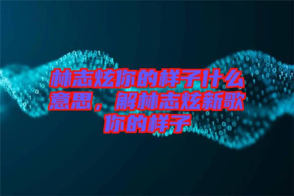 林志炫你的樣子什么意思，解林志炫新歌你的樣子