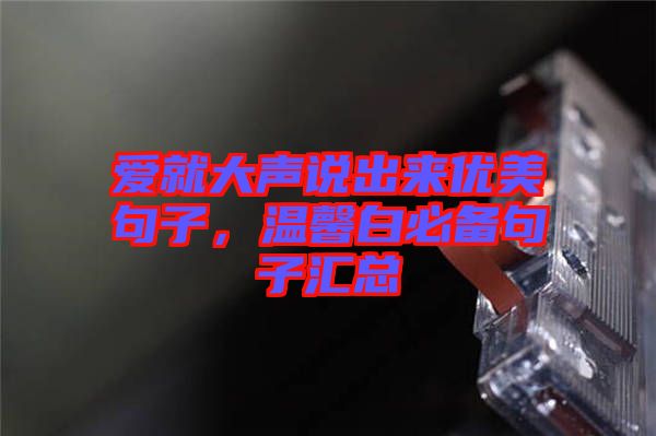 愛就大聲說出來優(yōu)美句子，溫馨白必備句子匯總