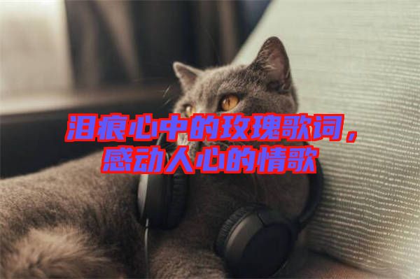 淚痕心中的玫瑰歌詞，感動人心的情歌