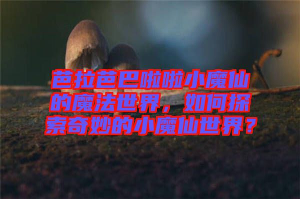 芭拉芭巴啦啦小魔仙的魔法世界，如何探索奇妙的小魔仙世界？