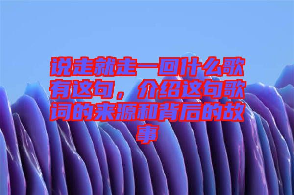 說(shuō)走就走一回什么歌有這句，介紹這句歌詞的來(lái)源和背后的故事