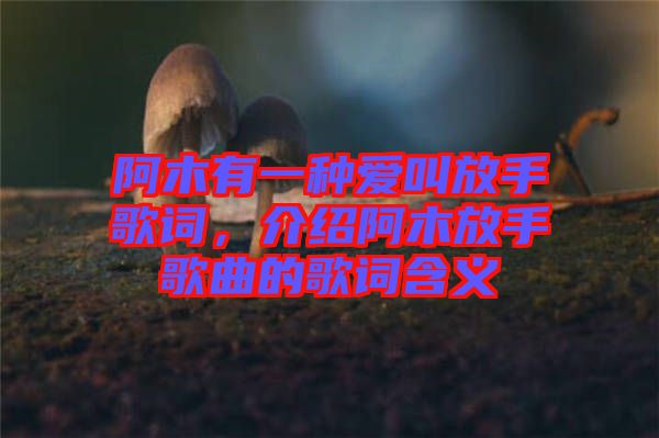 阿木有一種愛叫放手歌詞，介紹阿木放手歌曲的歌詞含義