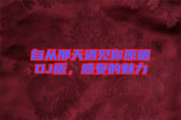 自從那天遇見你原唱DJ版，感受的魅力