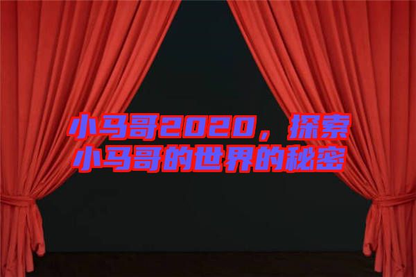 小馬哥2020，探索小馬哥的世界的秘密